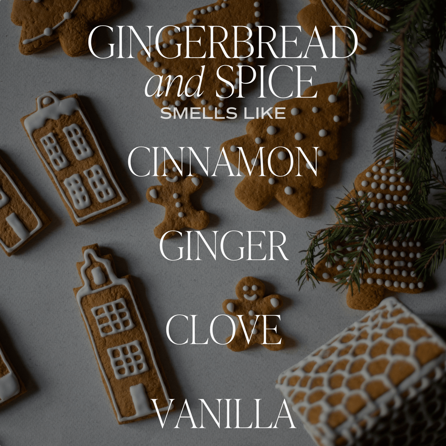 Gingerbread and Spice 15 oz Matte Soy Candle