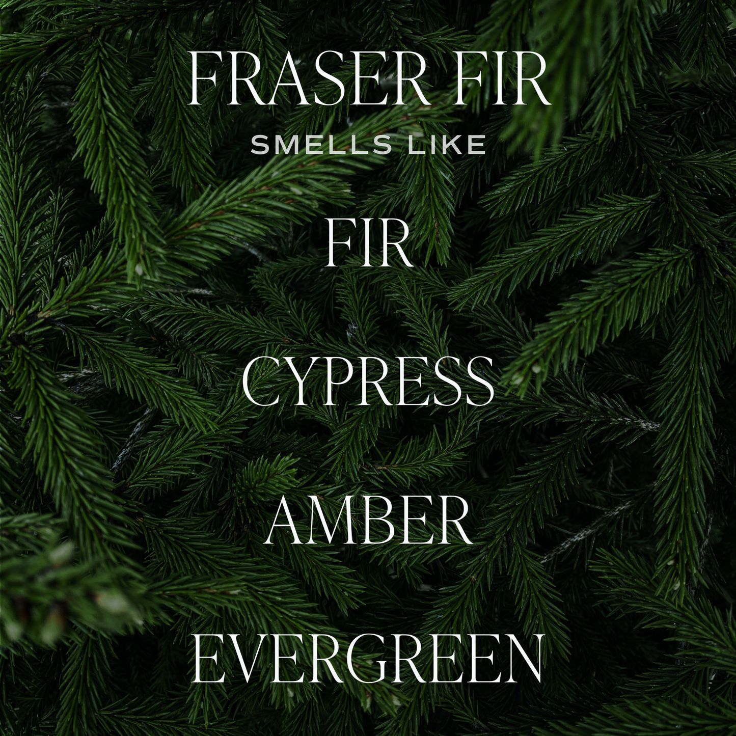 Fraser Fir Hanging Air Freshener - Christmas Decor